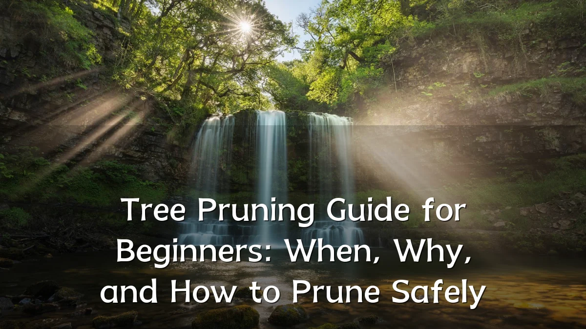 Tree Pruning Guide for Beginners: When, Why, and How to Prune Safely