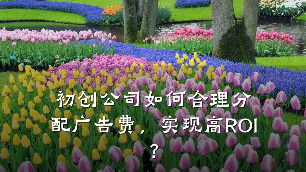 初创公司如何合理分配广告费,实现高ROI?