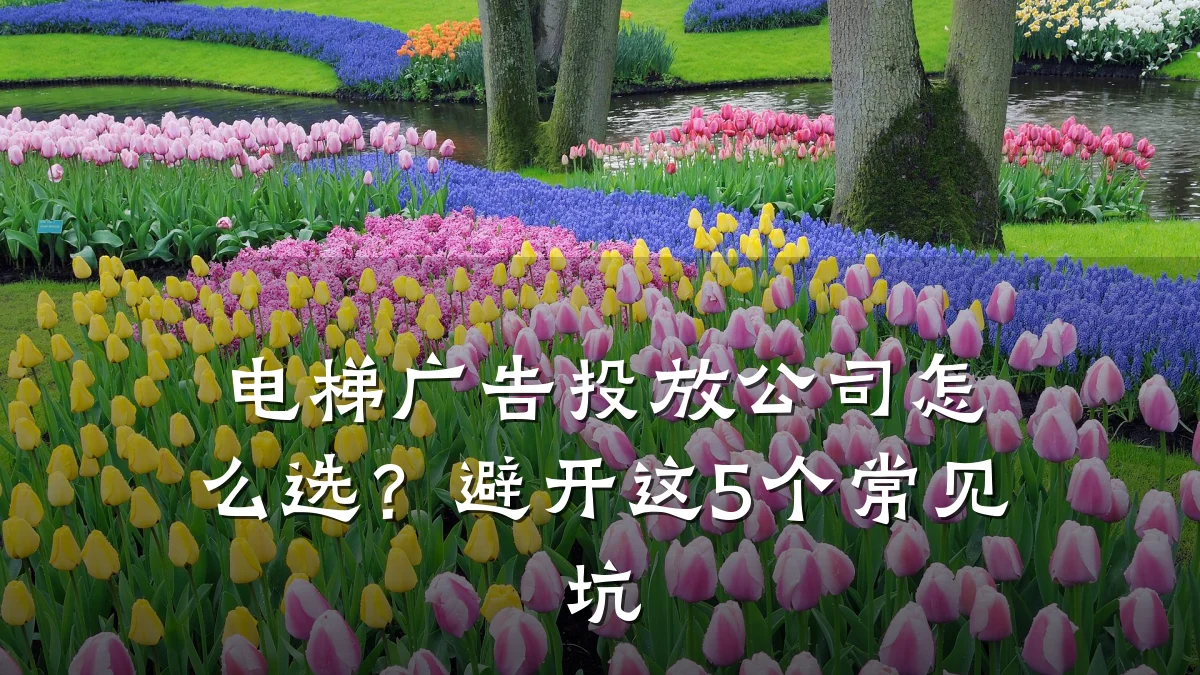 电梯广告投放公司怎么选?避开这5个常见坑