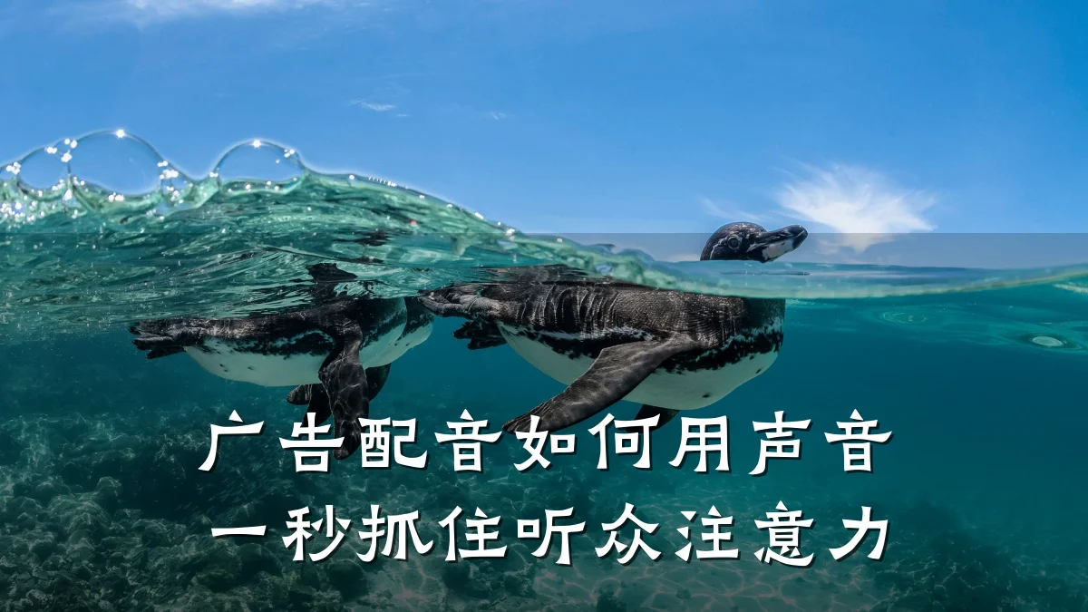 广告配音如何用声音一秒抓住听众注意力