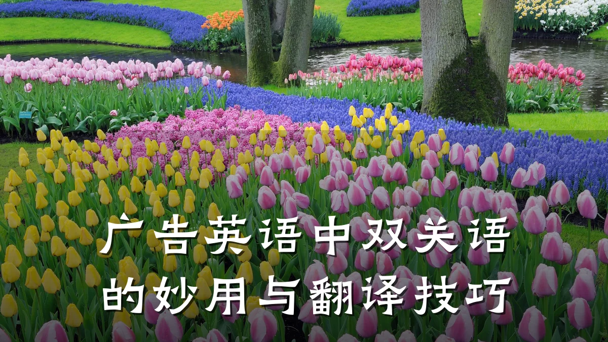 广告英语中双关语的妙用与翻译技巧