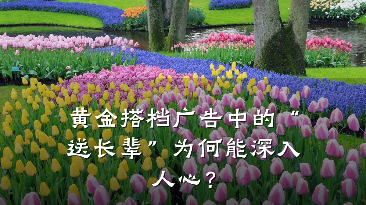 黄金搭档广告中的“送长辈”为何能深入人心?