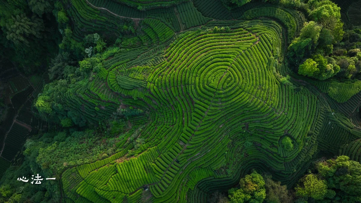 心法一