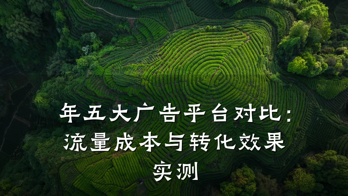 年五大广告平台对比：流量成本与转化效果实测