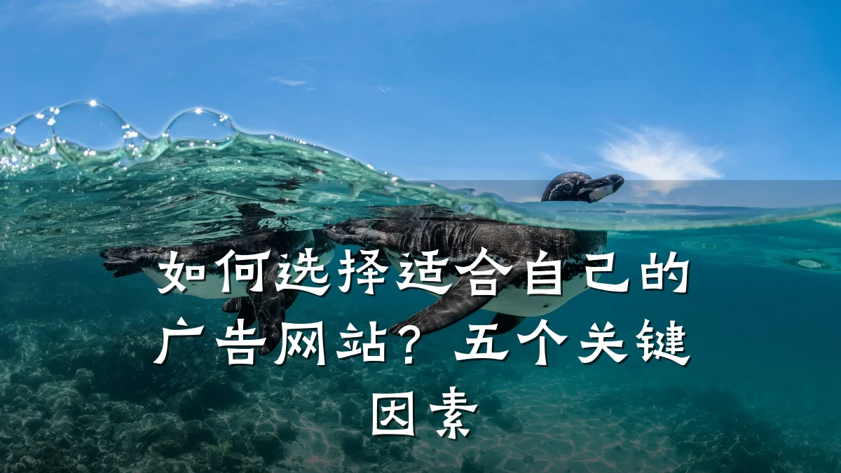 如何选择适合自己的广告网站?五个关键因素