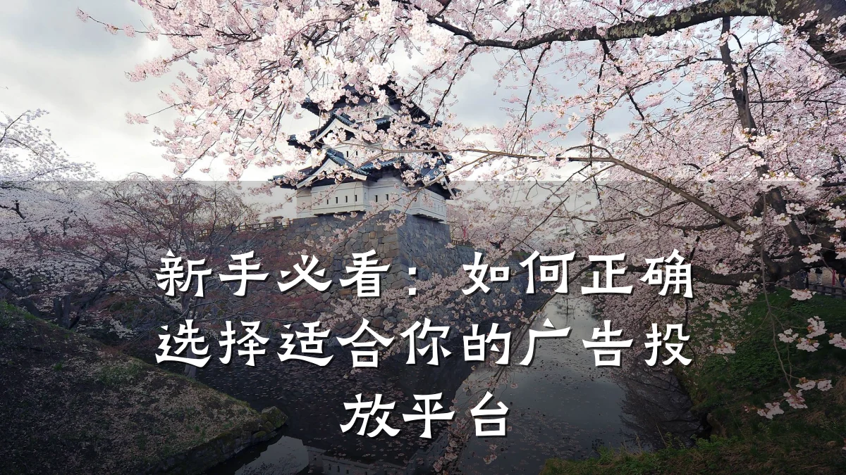 新手必看:如何正确选择适合你的广告投放平台