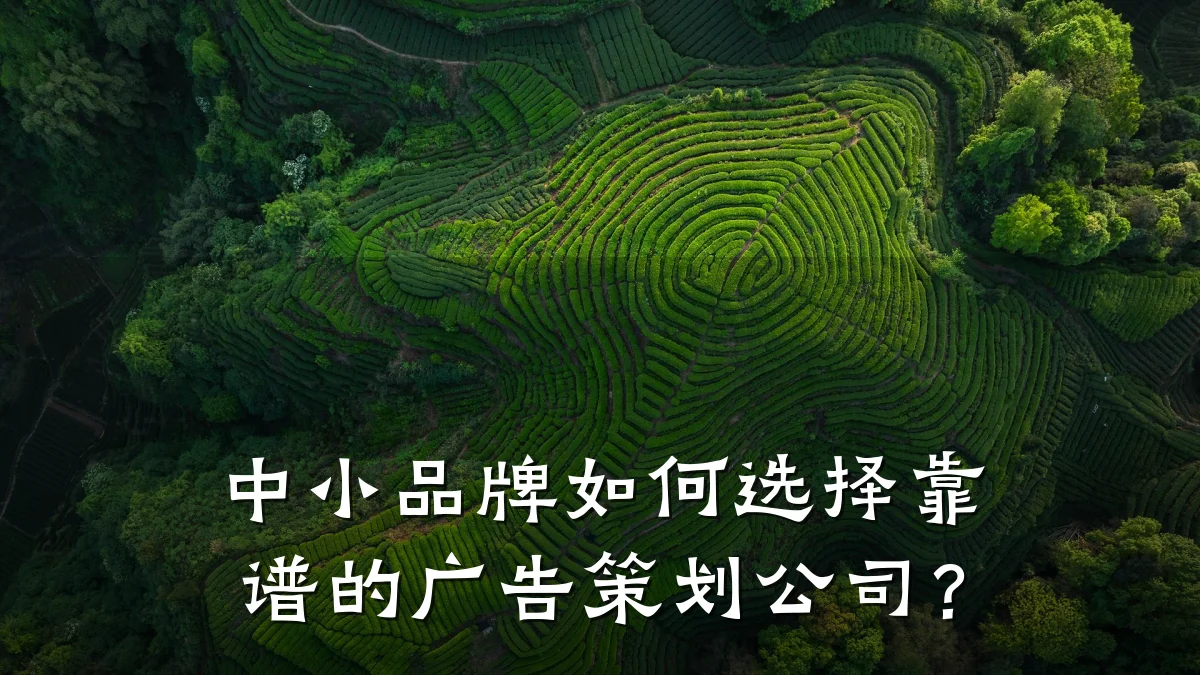 中小品牌如何选择靠谱的广告策划公司?