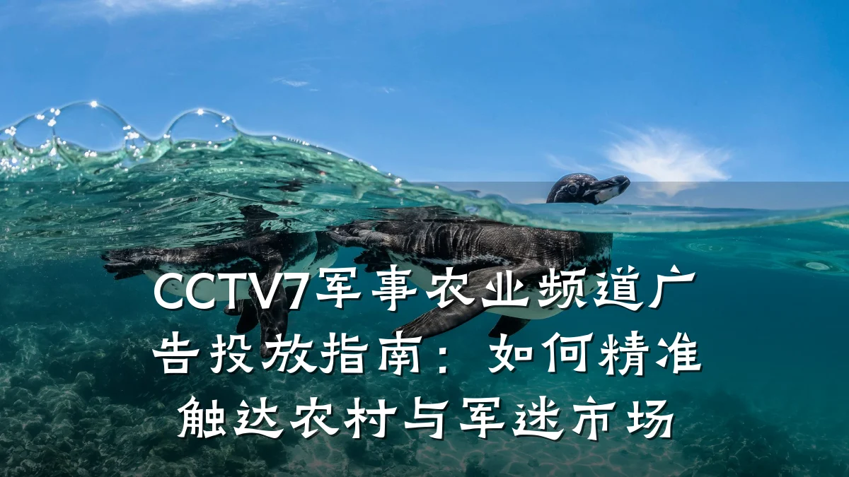 CCTV7军事农业频道广告投放指南:如何精准触达农村与军迷市场
