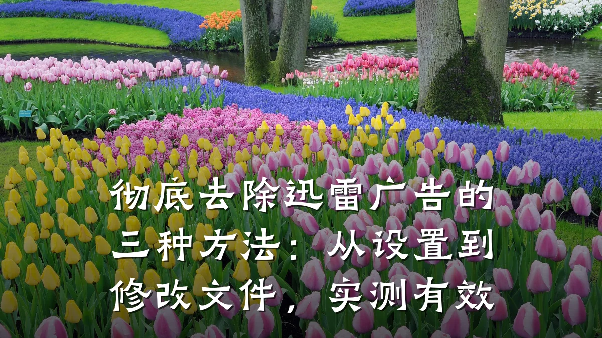 彻底去除迅雷广告的三种方法:从设置到修改文件,实测有效