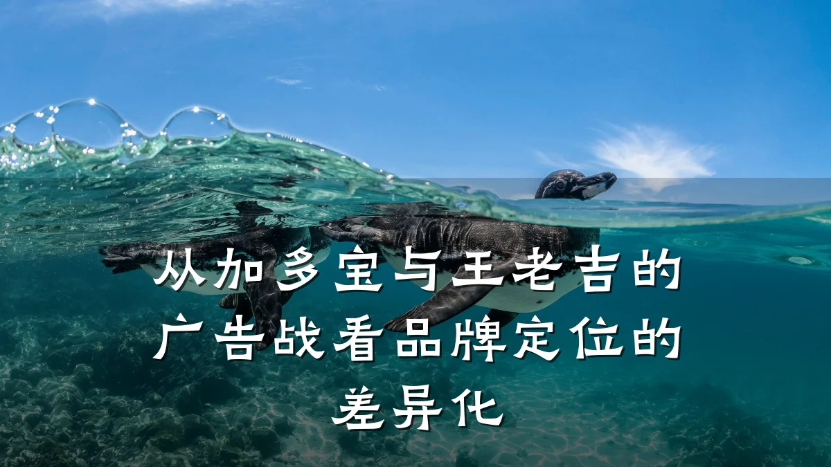 从加多宝与王老吉的广告战看品牌定位的差异化