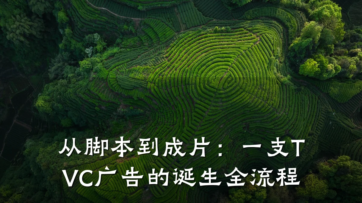 从脚本到成片：一支TVC广告的诞生全流程