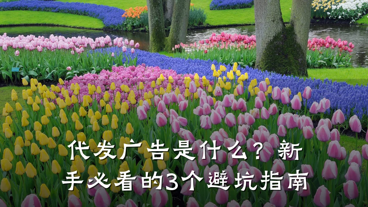 代发广告是什么？新手必看的3个避坑指南