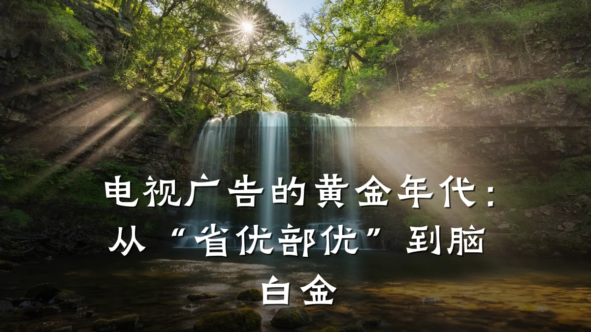 电视广告的黄金年代:从“省优部优”到脑白金