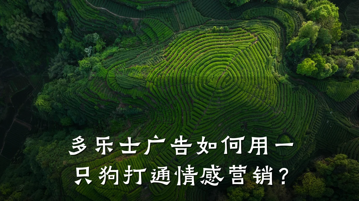 多乐士广告如何用一只狗打通情感营销?