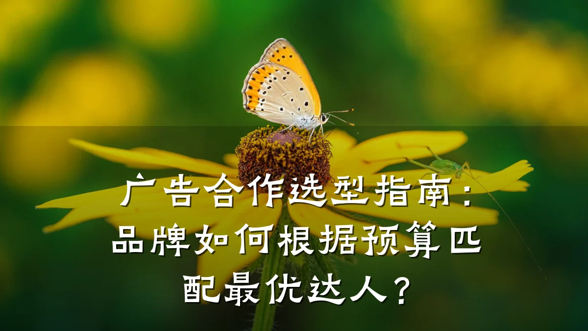 广告合作选型指南：品牌如何根据预算匹配最优达人？