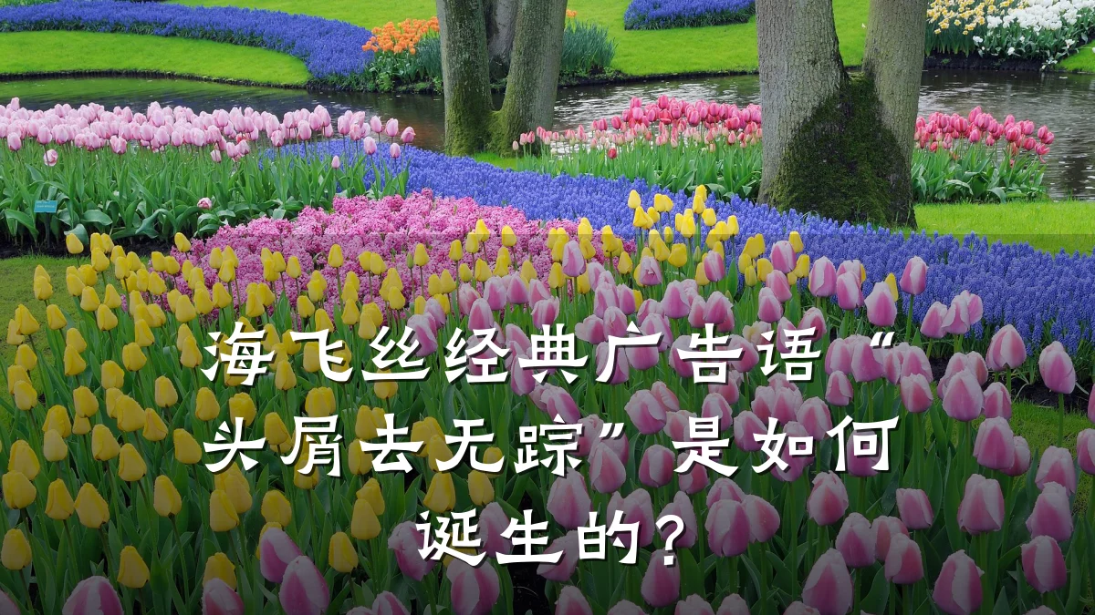 海飞丝经典广告语“头屑去无踪”是如何诞生的?