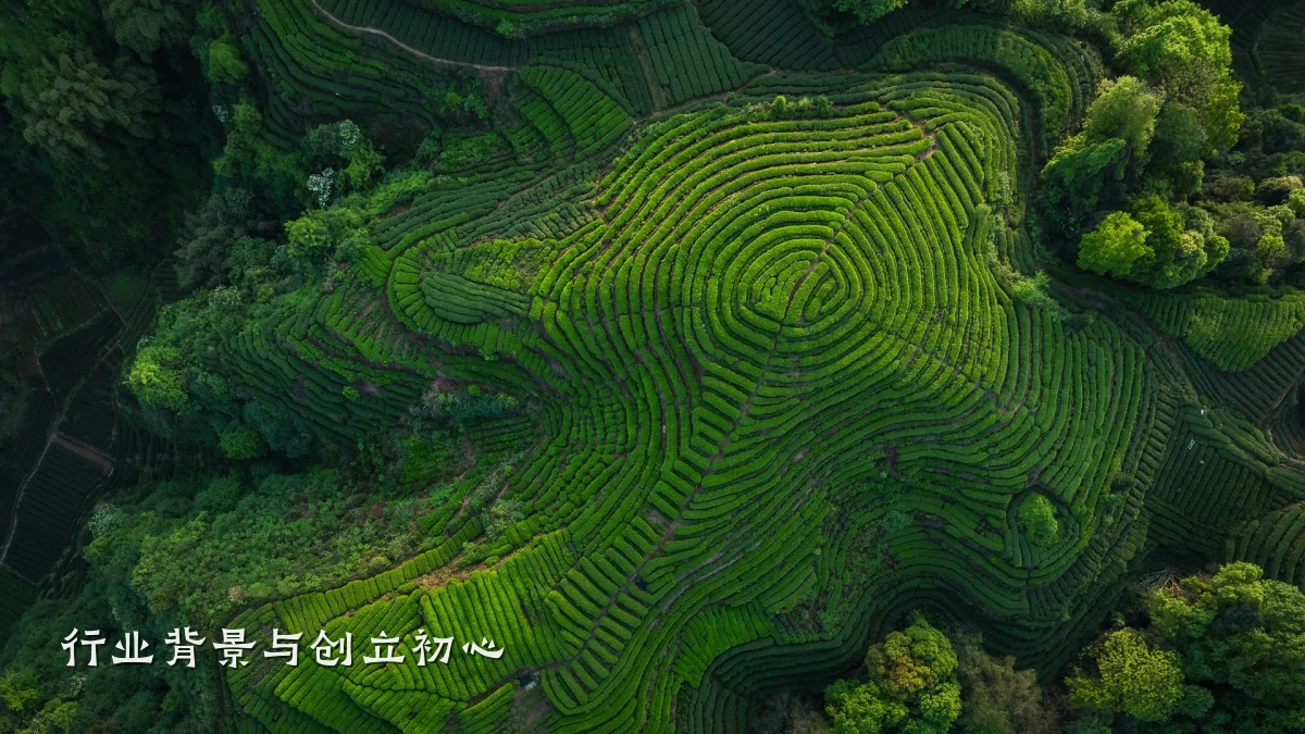 行业背景与创立初心