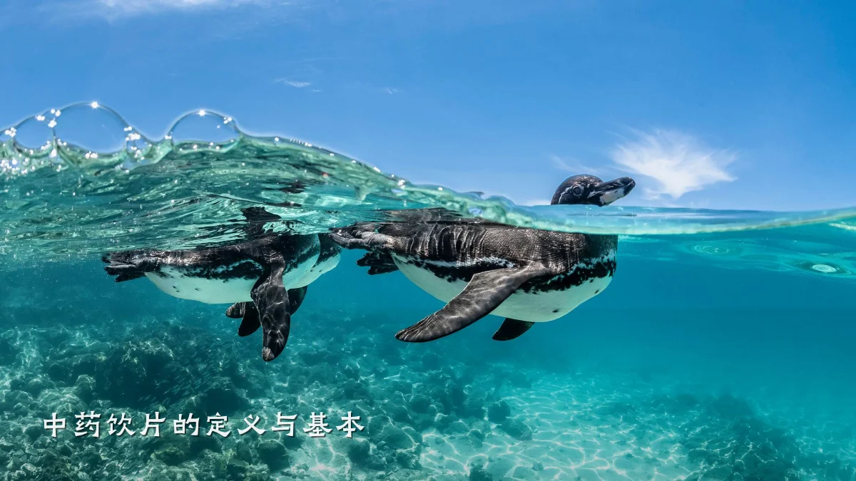 中药饮片的定义与基本