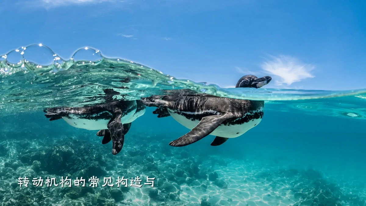 转动机构的常见构造与