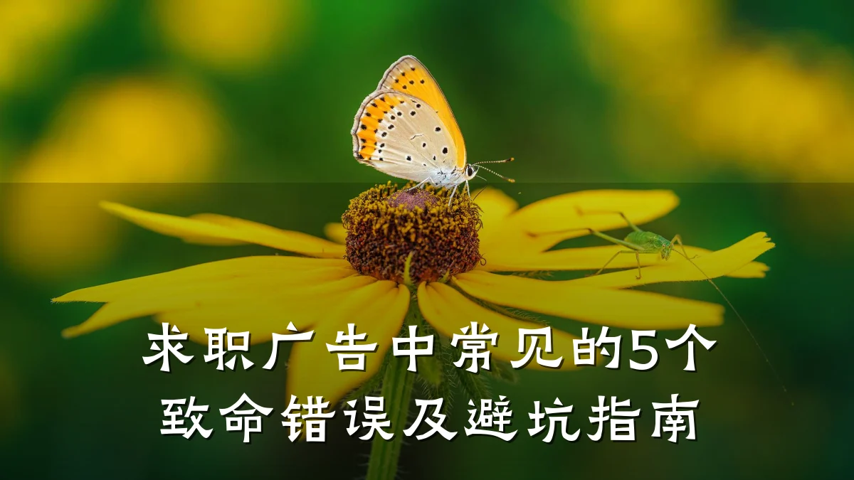 求职广告中常见的5个致命错误及避坑指南