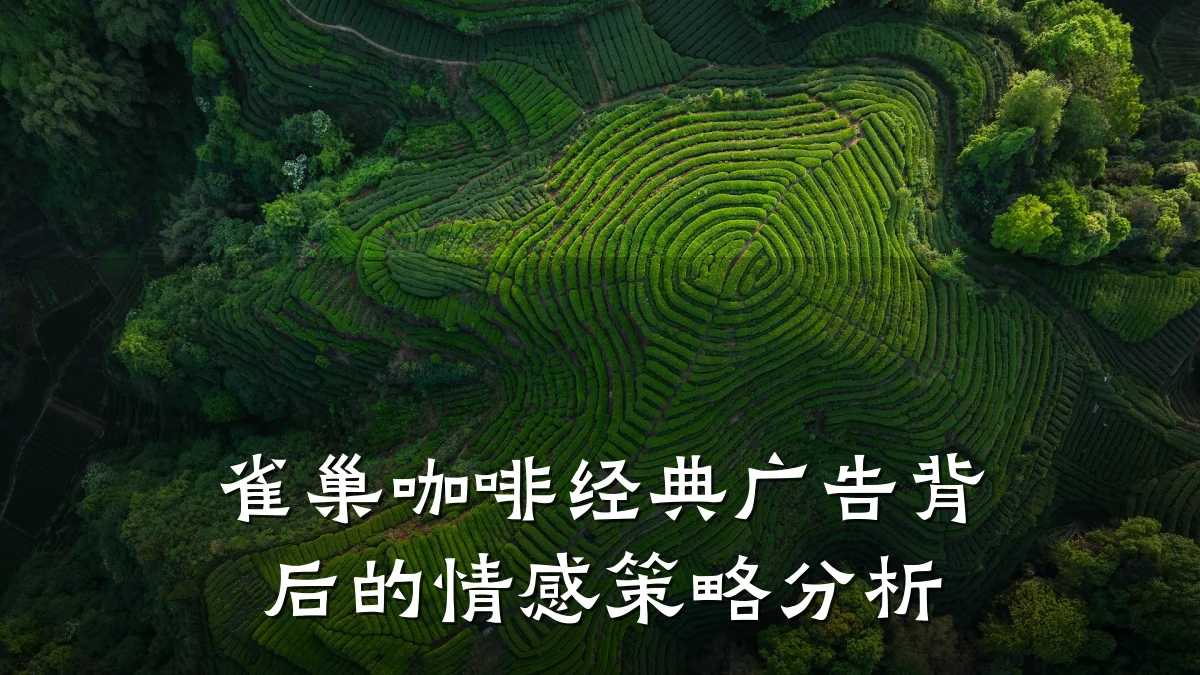雀巢咖啡经典广告背后的情感策略分析