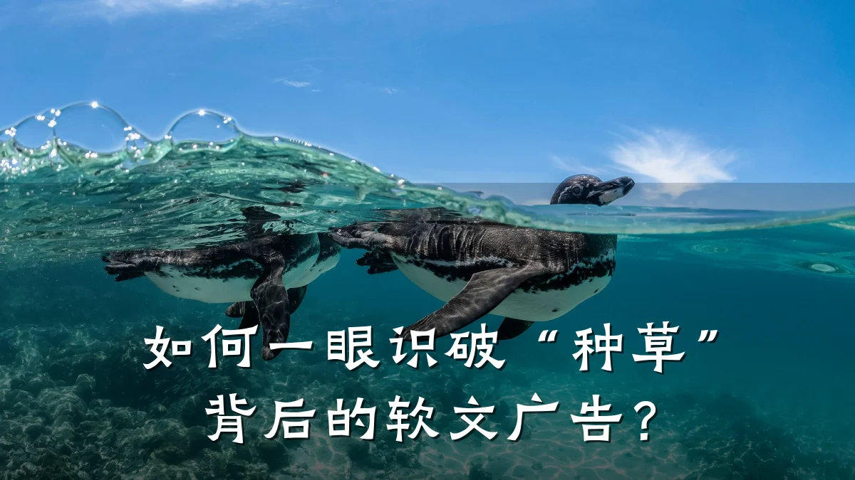 如何一眼识破“种草”背后的软文广告?