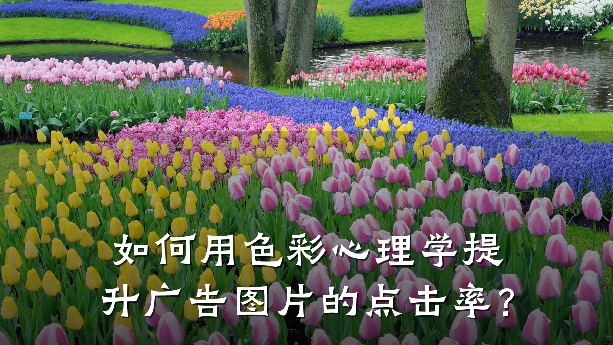 如何用色彩心理学提升广告图片的点击率?