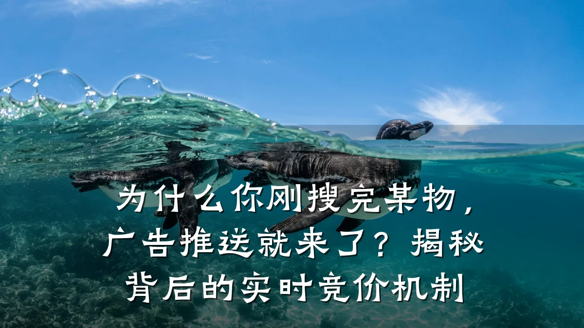 为什么你刚搜完某物,广告推送就来了?揭秘背后的实时竞价机制