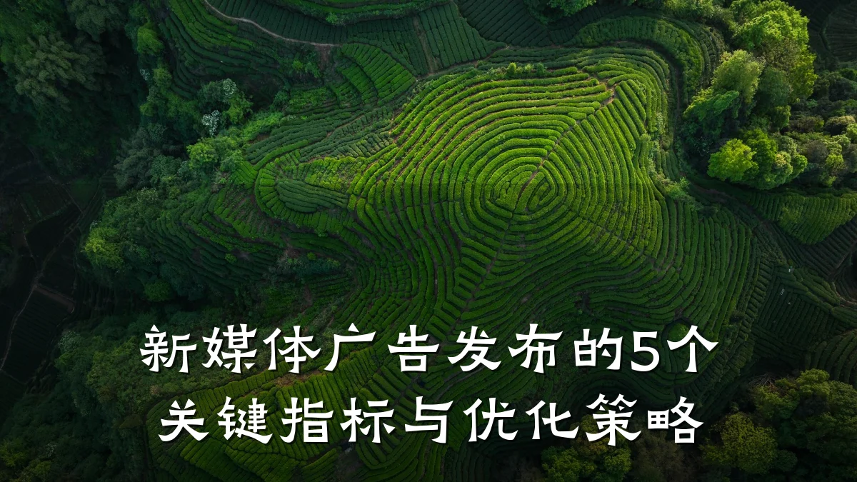 新媒体广告发布的5个关键指标与优化策略