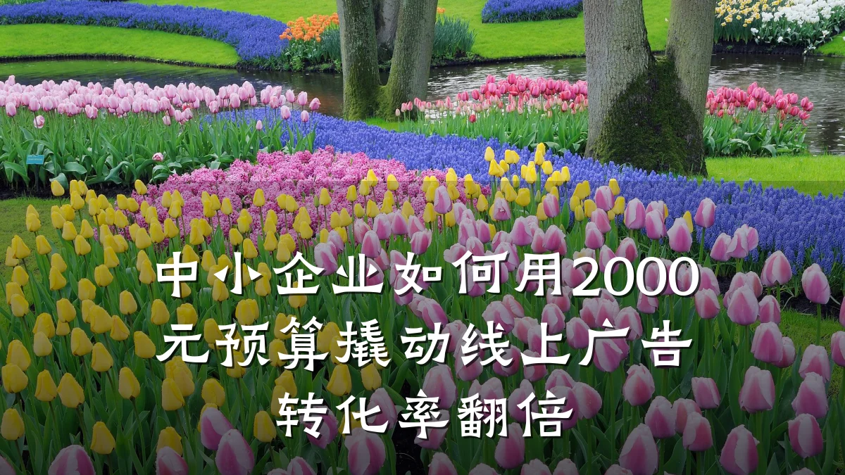中小企业如何用2000元预算撬动线上广告转化率翻倍