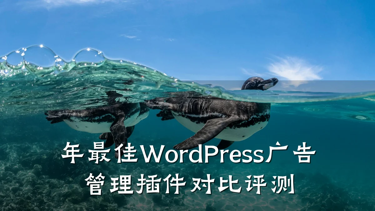 年最佳WordPress广告管理插件对比评测