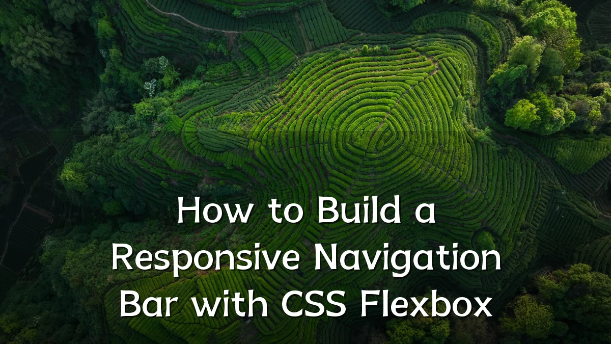 How to Build a Responsive Navigation Bar with CSS Flexbox