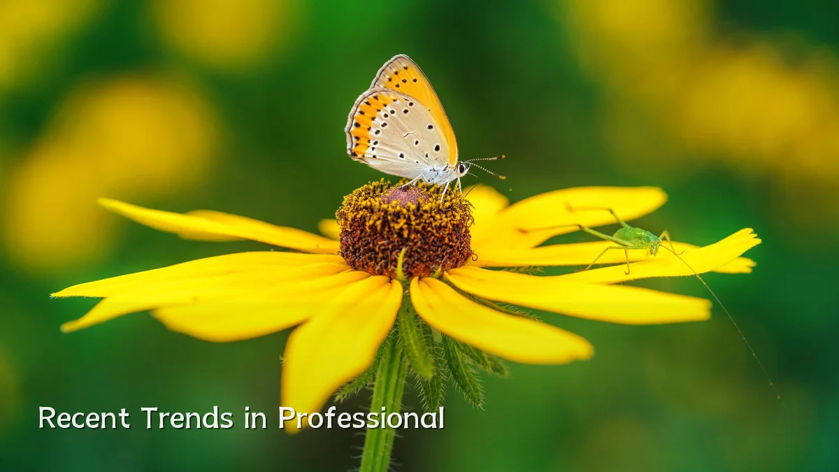 Recent Trends in Professional