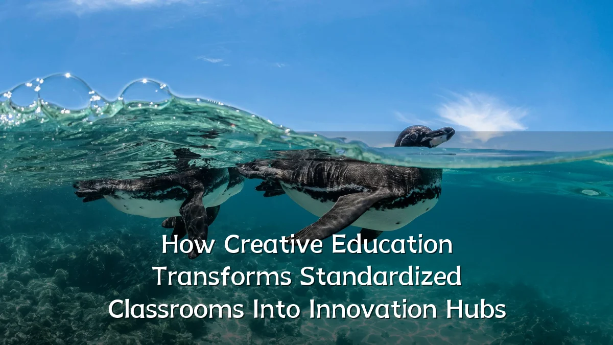 How Creative Education Transforms Standardized Classrooms Into Innovation Hubs
