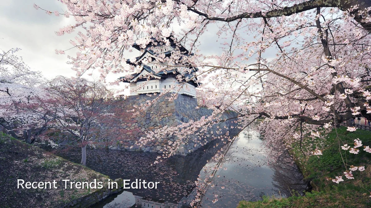 Recent Trends in Editor