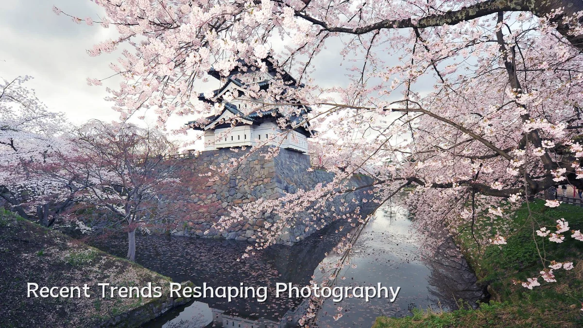 Recent Trends Reshaping Photography