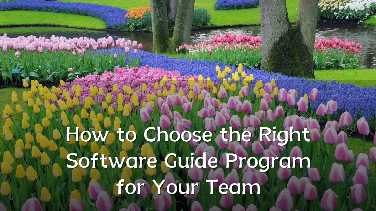 How to Choose the Right Software Guide Program for Your Team
