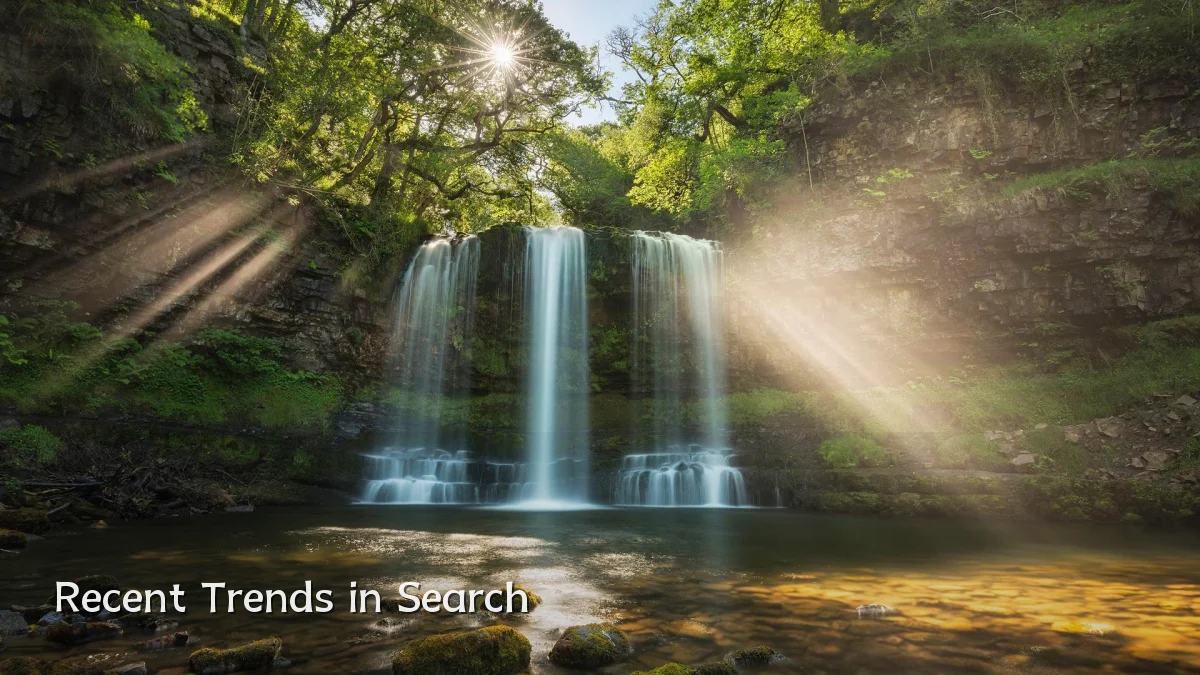 Recent Trends in Search